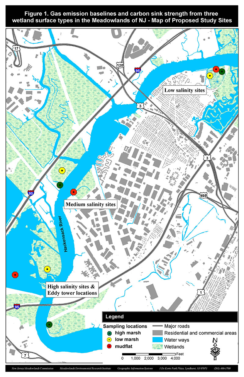 Salt Marsh Carbon Sequestration Study1