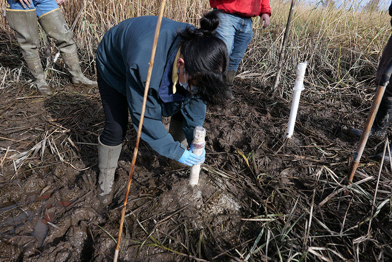 Groundwater Monitoring in the Meadowlands District02