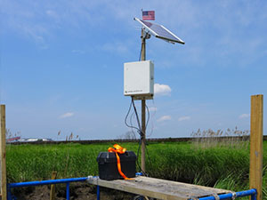 Wetland Impairment Assessment